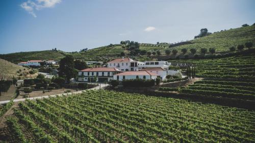 Santa Marta de Penaguiao Hotel | Casal dos Capelinhos - Douro