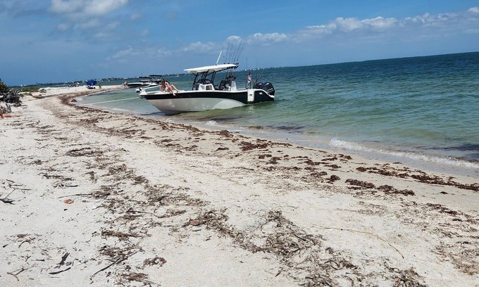 Burnt Store Apartment | Casita Bella Beautiful Cottage IN Wonderful Cape Coral FL. Come Enjoy!