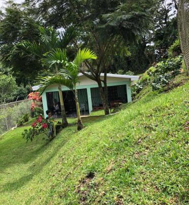 Quebrada Grande Apartment | Casita Canto del Bosque Monteverde