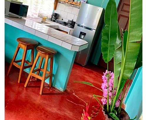 Bijagua House | Casita el jardin