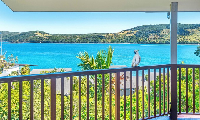 Hamilton Island House | Casuarina Cove 16 Ocean View Deluxe Refurbished 3 Bedroom House Near Marina With Golf Buggy