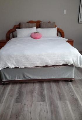 Lyttelton Manor Bed & Breakfast | Cathye B&B GUEST HOUSE