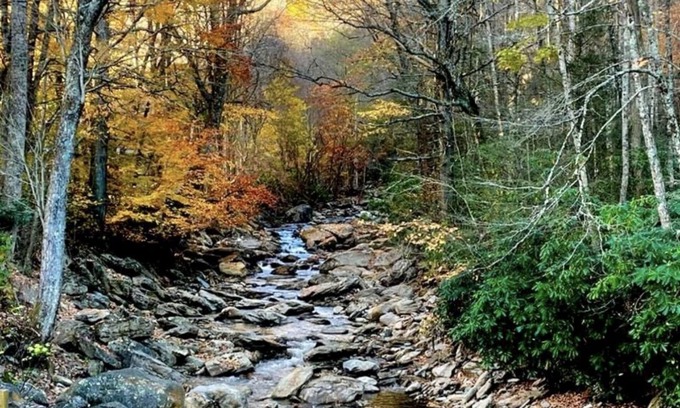 Cattail Creek Cabin | ⭐️Cattail Creek, Hiking, Fishing, Creeks,Fireplace, Mtns, Scenic Views, WiFi⭐️