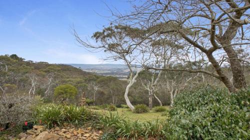 Blackheath House | Cecils Chair Blackheath Blue Mountains