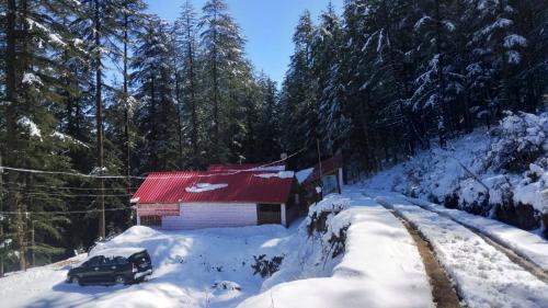 Matiana Cabin | cedar tree cottage gadakufri