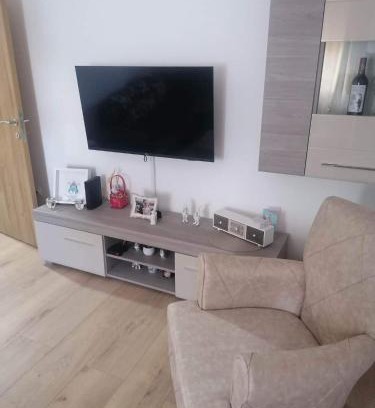 Mladenovac Apartment | Centar Partenon