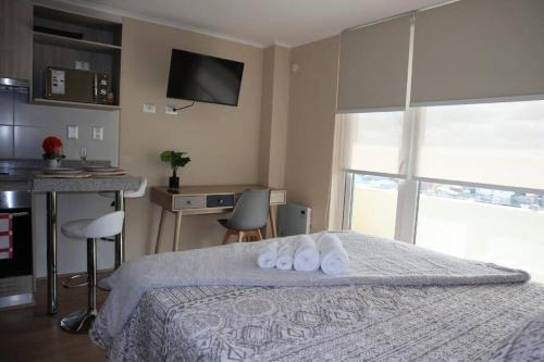 Osorno Apartment | Centro Osorno Express
