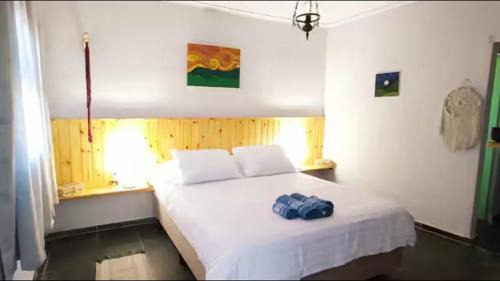 Sao Francisco Xavier Ski Chalet | Chalé Encanto do Manacá