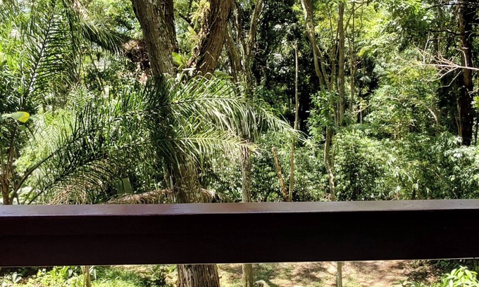 Florianopolis Ski Chalet | Chalé Nature na Lagoa da Conceição RM9376