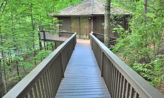 Big Canoe Ski Chalet | Chalet 35 - Unwind with Treetop Views, Splash at Community Pools, & Hike Trails