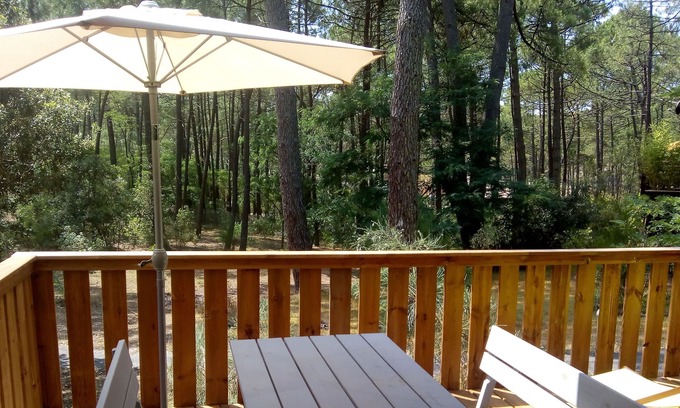 Maubuisson Ski Chalet | Chalet 4-6 people under the pines at Bombannes