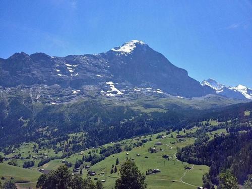 Grindelwald Apartment | Chalet Bachsbort 14