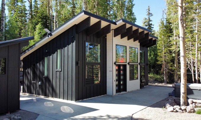 Steam Engine Meadows Ski Chalet | Chalet Black: Modern Ski Resort Haven in Wooded Paradise! 4 queen beds
