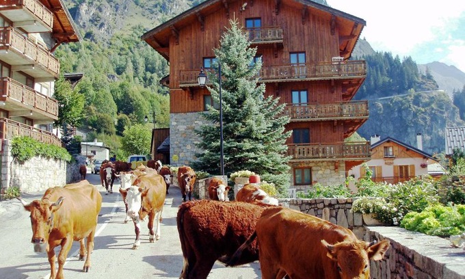 Champagny-en-Vanoise Apartment | Chalet Bouquetin- Lynx for up to 6 people