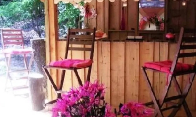 Lege-Cap-Ferret Ski Chalet | Chalet 'Cap Ferret Villa Grand Bois' with Private Pool