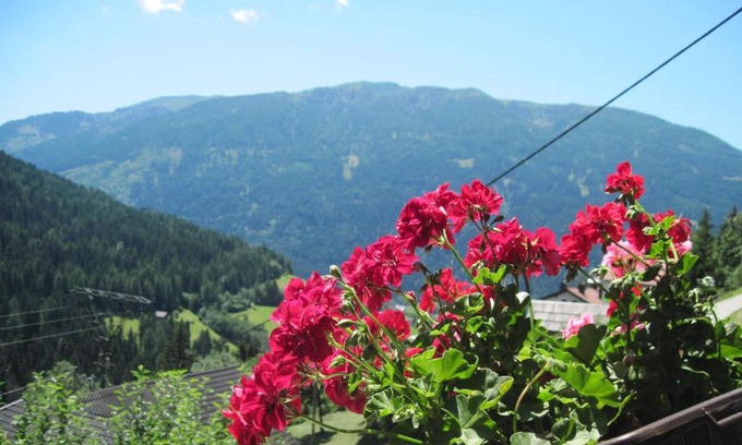 Radenthein Apartment | Chalet Catton Two Bedroom Appartement near Bad Kleinkirchheim