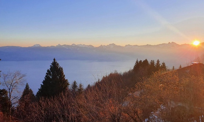 Thollon-les-Memises Ski Chalet | Chalet Chalon