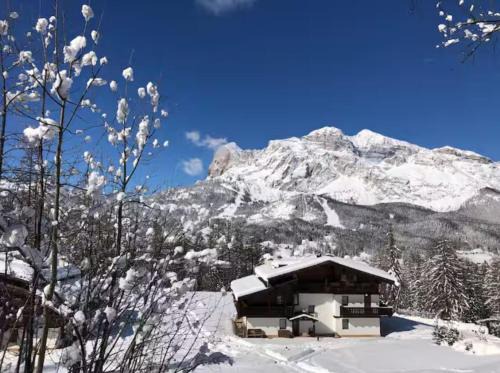 Cortina d'Ampezzo Apartment | Chalet Cortina d'Ampezzo Beautiful Panoramic