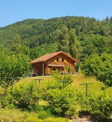 Saint-Maurice-sur-Moselle Ski Chalet | CHALET DES CHARBONNIERS AVEC ETANG - 5 chambres -