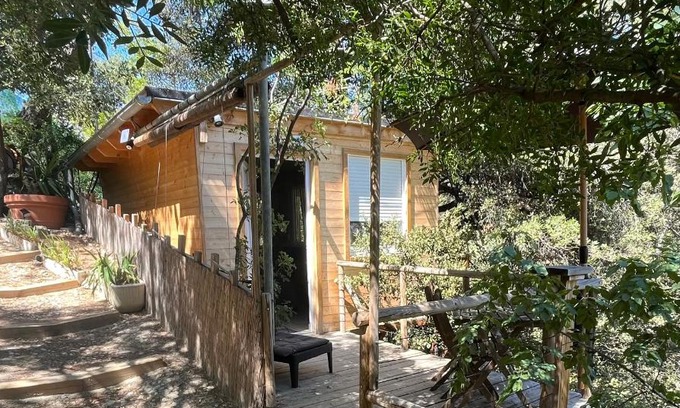 Nice Ski Chalet | Chalet dans les arbres