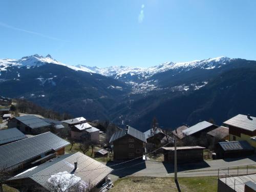 Feissons-sur-Salins House | Chalet de la Yodine