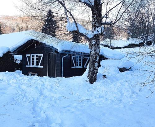 Mont-Dore Ski Chalet | Chalet des cascades