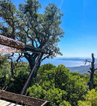 Le Lavandou Ski Chalet | Chalet des crêtes