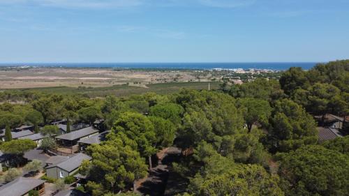 Agde Ski Chalet | Chalet familial entre les pins