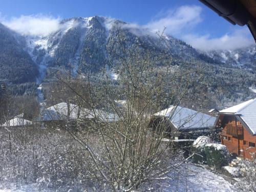 Thollon-les-Memises Ski Chalet | chalet haute-savoie