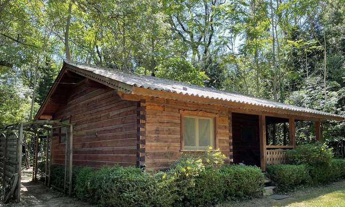 St.-Remy-de-Provence Ski Chalet | Chalet in Saint Remy de Provence