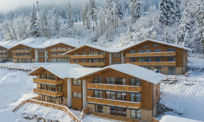 Wagrain Ski Chalet | Chalet in Wagrain near Flying Mozart Lift