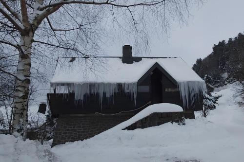 Mont-Dore Ski Chalet | Chalet les Sonnailles