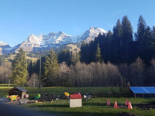 Adelboden Apartment | Chalet Wildbach