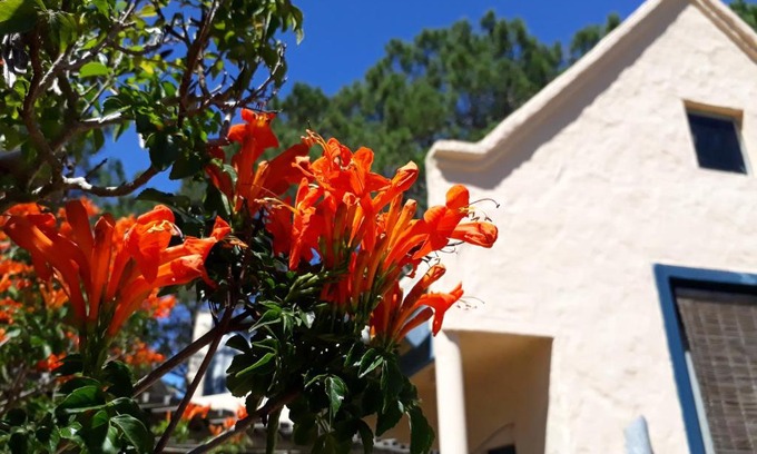 La Paloma Cabin | Chalets del Bosque