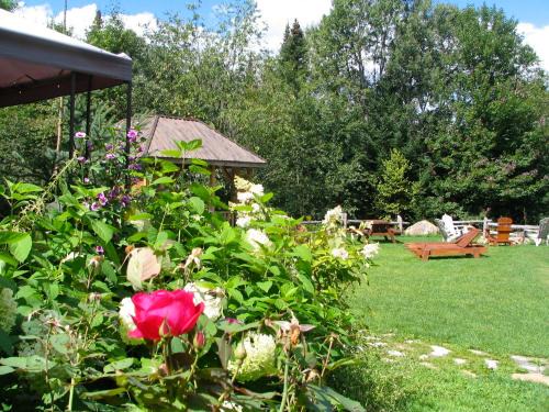 Lac Superieur Village Ski Chalet | Chalets et Studios Le Vent Du Nord
