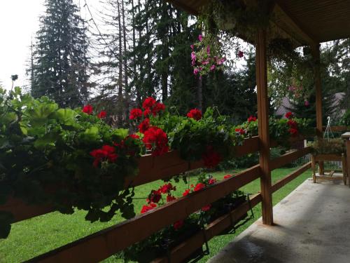 Poiana Brasov Cabin | Challet Montan
