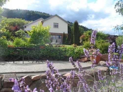 Husseren-les-Chateaux Bed & Breakfast | Chambres d'Hôtes Rachelle Schneider
