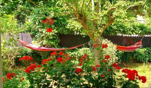 Joinville-le-Pont Bed & Breakfast | Chambres dans une maison de charme au calme en bord de Marne proche transports