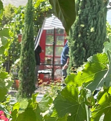 Napa Hotel | Chardonnay Lodge