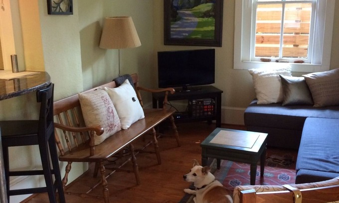 Chestnut Hills Cottage | Charming 1911 cottage in the heart of Asheville - walk 4 blocks to downtown
