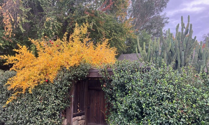 Ojai House | Charming 2-bedroom house steps from downtown Ojai.