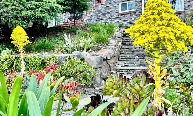 Martinez House | Charming 3-bedroom house in Martinez with fast WiFi and Beautiful backyard