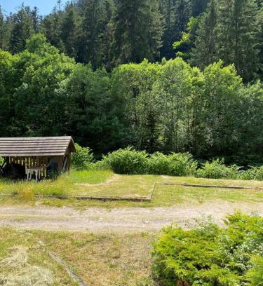 Gerardmer Apartment | Charming 55m near hiking trails