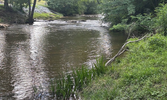 Sparta Cottage | Charming Cottage at Bridge Over Doubled Waters in Sparta, NC