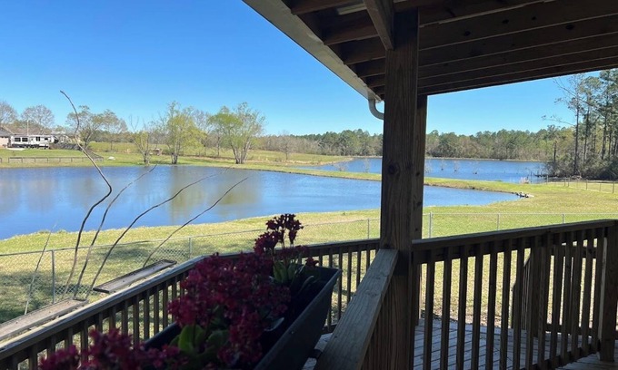 Gulfport Cottage | Charming Cottage in Gulfport overlooking 2 beautiful pondsnWIFInPet Friendly