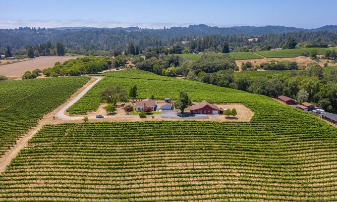 Graton House | Charming Farm House In The Vineyards On Over 12 Acres