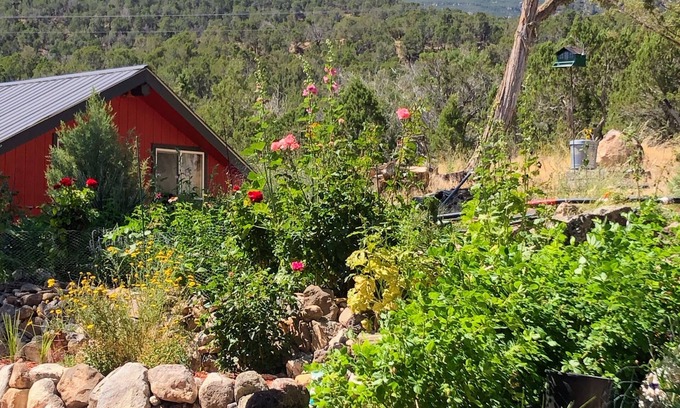Paonia House | Charming guesthouse with panoramic views!