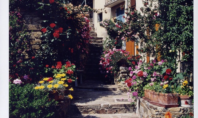 Bormes-Les-Mimosas Cottage | Charming Medieval Cottage in the Heart of Village