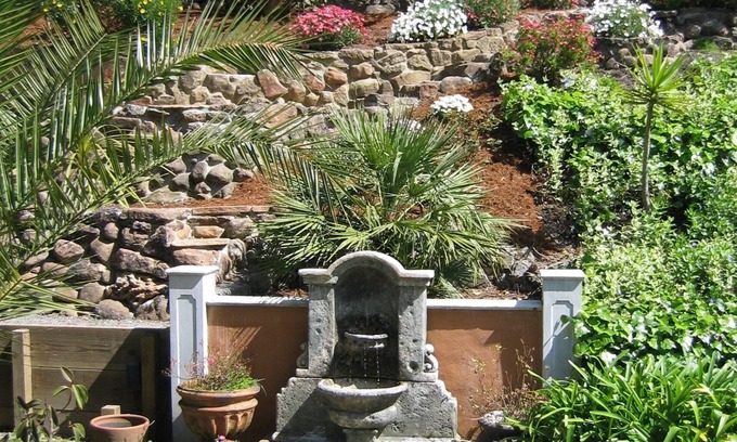 Strawberry Cottage | Charming, peaceful 1 Bedroom Mill Valley Cottage
