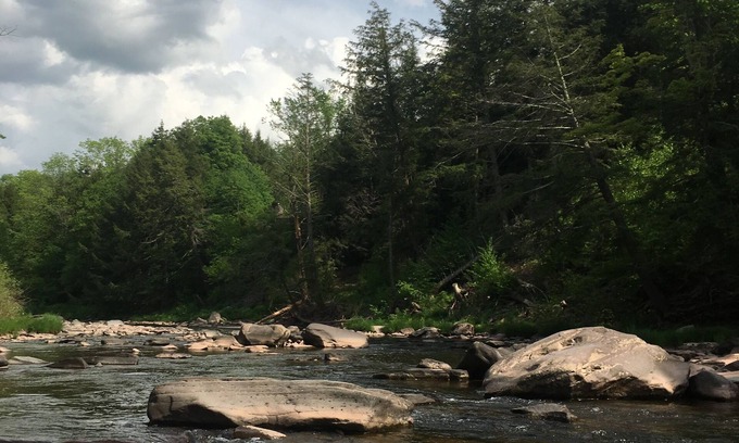 Hunter Cabin | Charming secluded mountain house with creek view. 5 min from Hunter Mtn.